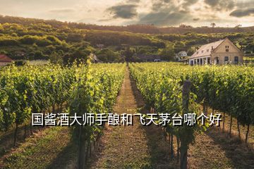 國醬酒大師手釀和飛天茅臺(tái)哪個(gè)好
