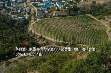 茅臺酒廠集團(tuán) 茅臺醇漿酒1956醬香型53度白酒糧食酒500ml送禮宴請百