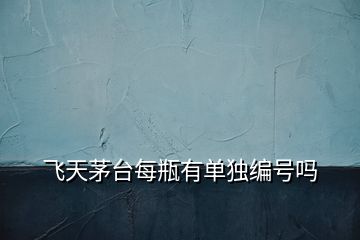 飛天茅臺每瓶有單獨(dú)編號嗎