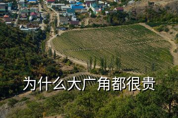 為什么大廣角都很貴