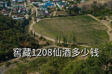 窖藏1208仙酒多少錢(qián)