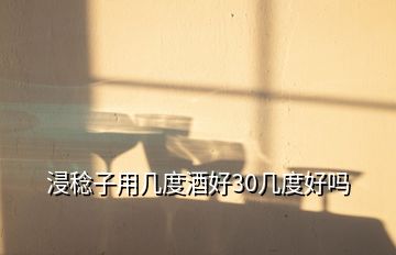 浸稔子用幾度酒好30幾度好嗎