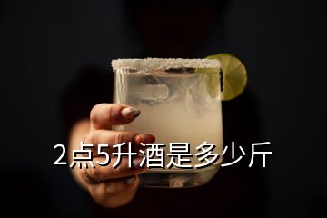 2點5升酒是多少斤
