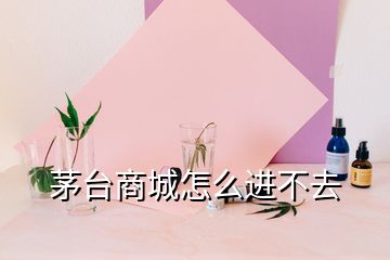 茅臺商城怎么進(jìn)不去