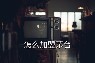 怎么加盟茅臺