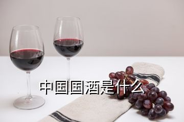 中國(guó)國(guó)酒是什么