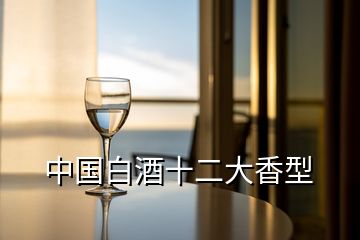 中國(guó)白酒十二大香型