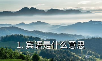 1. 賓語(yǔ)是什么意思