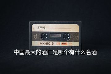 中國(guó)最大的酒廠是哪個(gè)有什么名酒