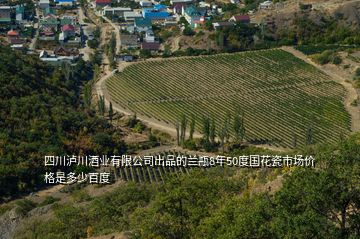四川瀘川酒業(yè)有限公司出品的蘭瓶8年50度國花瓷市場價格是多少百度