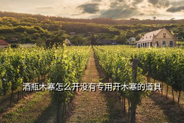 酒瓶木塞怎么開沒有專用開木塞的道具