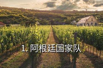 1. 阿根廷國家隊