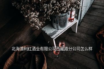 北海澳利紅酒業(yè)有限公司西藏路分公司怎么樣
