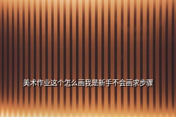 美術(shù)作業(yè)這個(gè)怎么畫我是新手不會(huì)畫求步驟