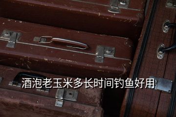 酒泡老玉米多長時(shí)間釣魚好用