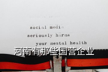 河南有那些國營企業(yè)