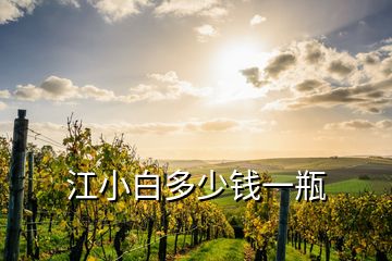 江小白多少錢(qián)一瓶