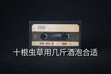 十根蟲草用幾斤酒泡合適