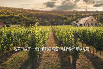 泡菜時(shí)放了一點(diǎn)白酒封層高溫炒過后孕婦可以吃嗎