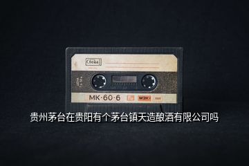 貴州茅臺(tái)在貴陽(yáng)有個(gè)茅臺(tái)鎮(zhèn)天造釀酒有限公司嗎