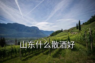 山東什么散酒好