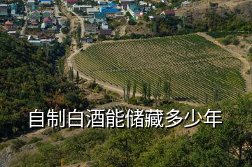 自制白酒能儲(chǔ)藏多少年