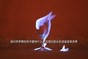 請問蒼參黃柏蒼術要用什么來泡酒還是水有或者是拿來煮