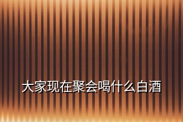大家現(xiàn)在聚會喝什么白酒
