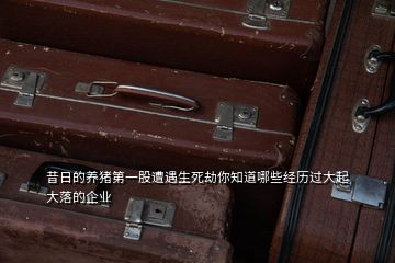 昔日的養(yǎng)豬第一股遭遇生死劫你知道哪些經(jīng)歷過大起大落的企業(yè)