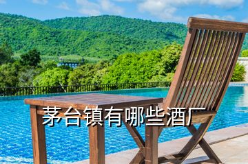 茅臺(tái)鎮(zhèn)有哪些酒廠