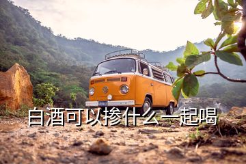 白酒可以摻什么一起喝