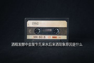 酒精發(fā)酵中會發(fā)生先來水后來酒現象原因是什么