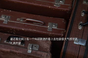 最近看見網(wǎng)上有一個(gè)叫頌歌酒的看上去包裝很大氣感覺送禮真的是