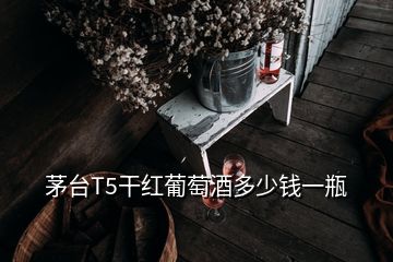 茅臺(tái)T5干紅葡萄酒多少錢(qián)一瓶