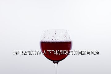 請問瓊海的好心人下飛機到瓊海的問題急急急