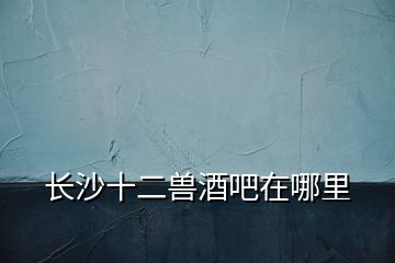 長(zhǎng)沙十二獸酒吧在哪里
