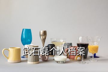 武石磊個人檔案
