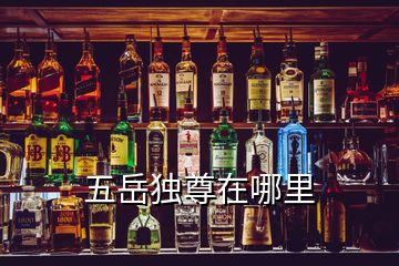 五岳獨(dú)尊在哪里