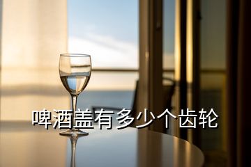 啤酒蓋有多少個(gè)齒輪