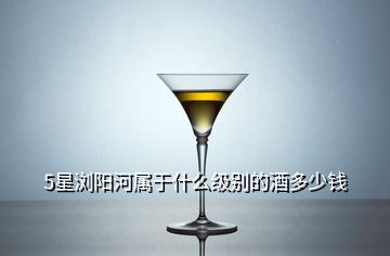 5星瀏陽河屬于什么級(jí)別的酒多少錢