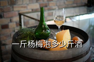 一斤楊梅泡多少斤酒