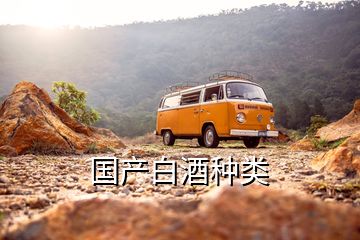 國產(chǎn)白酒種類