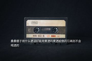 桑桑椹子用什么酒浸好能用黃酒嗎黃酒能做藥引再則不會喝酒的