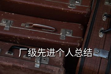 廠級(jí)先進(jìn)個(gè)人總結(jié)