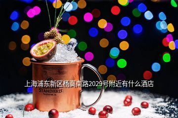 上海浦東新區(qū)楊高南路2029號(hào)附近有什么酒店