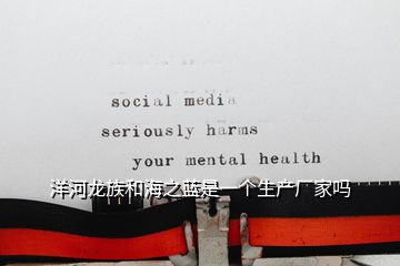 洋河龍族和海之藍(lán)是一個(gè)生產(chǎn)廠家嗎