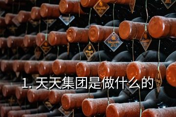 1. 天天集團是做什么的