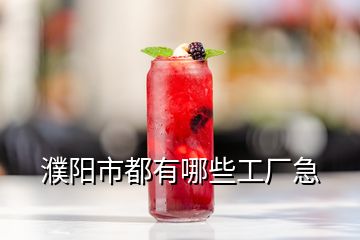 濮陽(yáng)市都有哪些工廠急