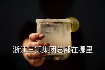 浙江三獅集團總部在哪里