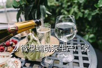 2. 微型蠕動(dòng)泵生產(chǎn)廠家